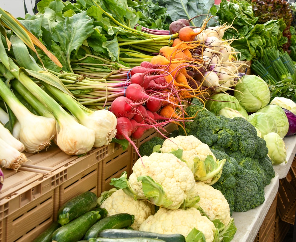 Ernährungsberatung Online